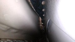Right Lower Side Member