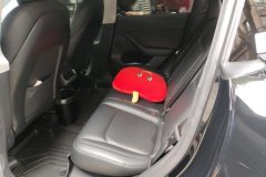 2021 Tesla Model Y 2021StandardBattery lifeRWDEdition #11
