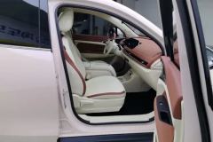 2024 Ora Good Cat 2024 401km Luxury #8