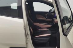 2025 BYD Seagull 2025 305km vitalityEdition #21