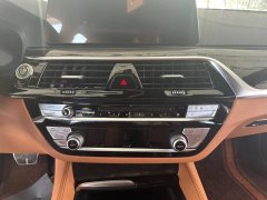 2019 BMW 5 Series 2019 2.0T AT 530LiExclusiveMSport Pkg #27