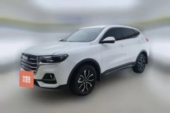 2023 Haval H6 2021 1.5T AT China tideUrbanEdition #1