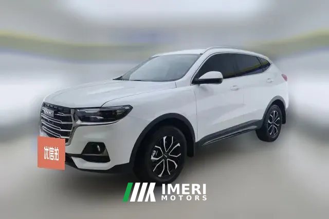 2023 Haval H6 2021 1.5T AT China tideUrbanEdition