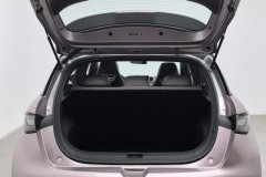 2022 BYD Dolphin 2021 405km Fashion #20