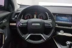 2019 Haval H6 2019 1.5T AT Red LabelChampion #15