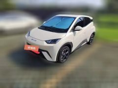 2023 BYD Seagull 2024 Glory 305km vitalityEdition #1