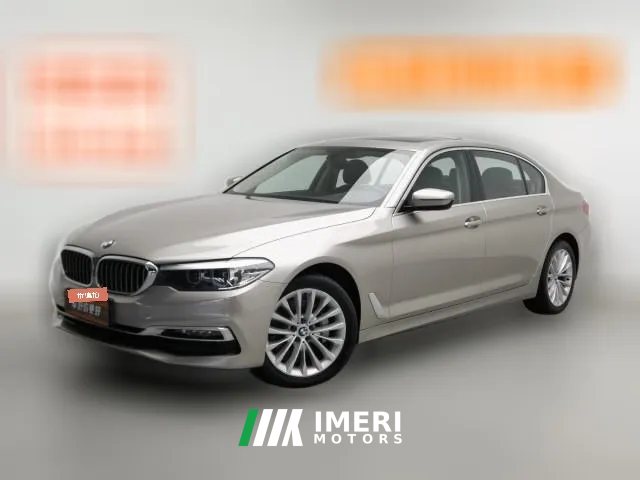 2019 BMW 5 Series 2019 2.0T AT 530LiLeadingLuxury Pkg