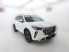 2023 GAC Trumpchi Trumpchi GS4 Plus 2023 2.0T AT 390T nebulaEdition #3