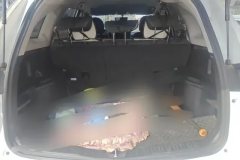 2023 Haval M6 2023 PLUS 1.5T MT EliteSmart Connect #4