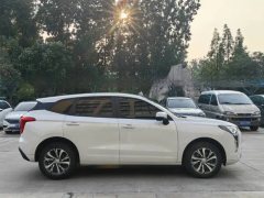 2022 Haval Chulian 2021 1.5T AT Large1Edition #12
