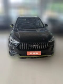 2022 Haval Chitu 2021 1.5T AT ProvokingEdition golden rabbit #2