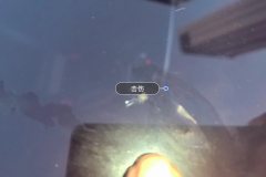 Windshield