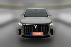 2023 Voyah Dreamer 2022 low carbonEdition think+Smart driving bag #2