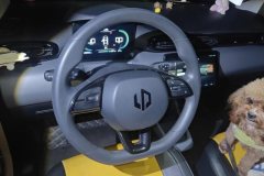 2022 Leapmotor T03 2021 400Enjoy lightlyEdition NMC #15