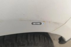 Left Rear Fender