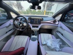 2024 BYD Dolphin 2024 Glory 420km Fashion #9
