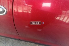 Left Rear Door