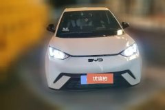 2024 BYD Seagull 2025 305km freeEdition #2
