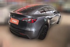 2021 Tesla Model Y 2021Long Rangeall wheel driveEdition 3D7 #3