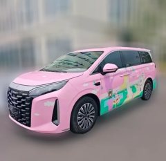 2025 BYD Xia 2025 DM-i 1.5T AT 180km excellence #1