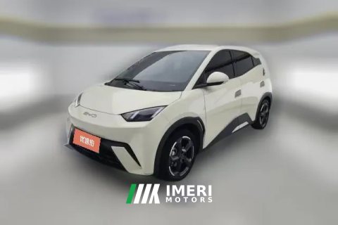 2023 BYD Seagull 2023 freeEdition