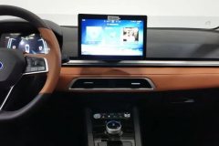 2021 BYD e2 2021 Luxury #16
