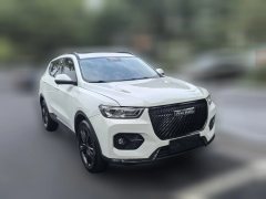 2020 Haval H6 2021 2.0T AT GTPowerQingEditionGDI #2