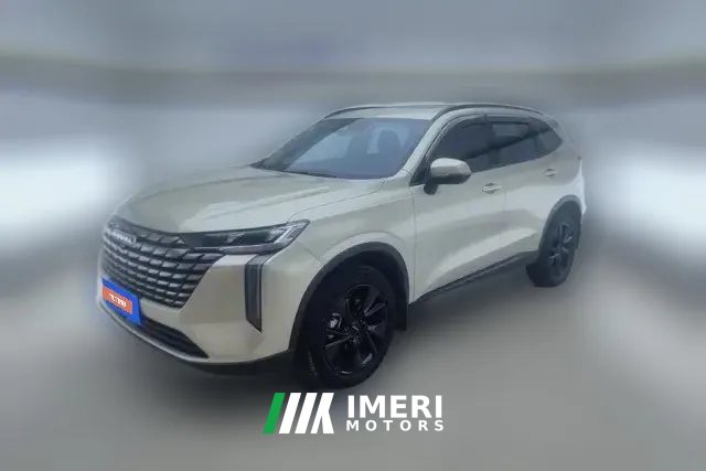 2024 Haval H6 2024 2.0T AT 2WDMax