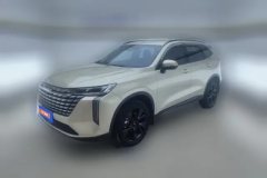2024 Haval H6 2024 2.0T AT 2WDMax #1