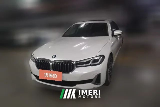 2021 BMW 5 Series 2021 2.0T AT 530LiLeadingLuxury Pkg