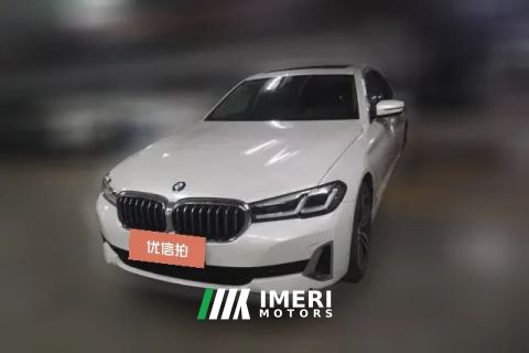 2021 BMW 5 Series 2021 2.0T AT 530LiLeadingLuxury Pkg