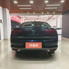 2021 Volkswagen Magotan 2020 2.0T AT 330TSILeading #10