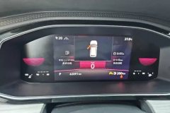 2024 Volkswagen Sagitar 2023 1.5T AT 300TSI DSGSurpass #14