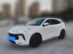 2022 Dongfeng Fengxing Fengxing T5 Evo 2021 1.5T AT DCTdiamondEdition #1
