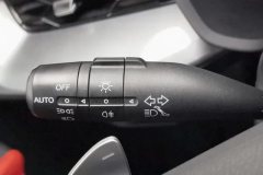 2021 MG MG5 2021 300TGI DCTGreen luxuryEdition #24