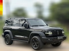 2021 Tank 300 2021 Off-road 2.0TAT conqueror #3