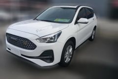 2020 Haval M6 2019 1.5T AT Super ValueFWD China VI #1