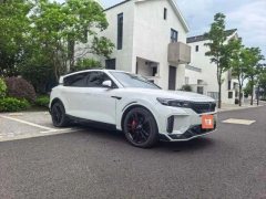 2024 Voyah Free 2025 318 259km 4WDDiscovery #8