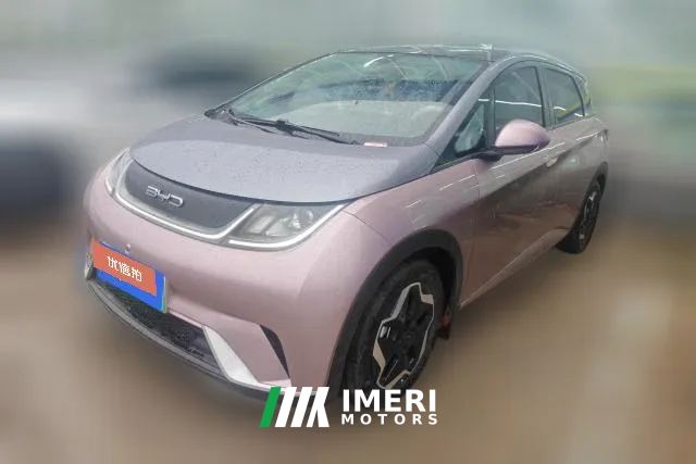 2022 BYD Dolphin 2021 405km Fashion