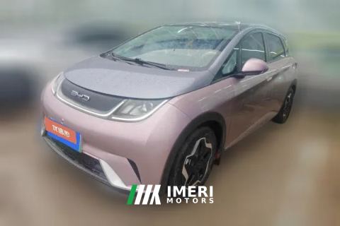 2022 BYD Dolphin 2021 405km Fashion