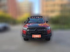 2020 Great Wall Great Wall Pao 2020 2.0TOff-roadATGasoline4WDLimitedGW4C20B #2