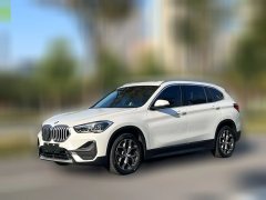 2021 BMW X1 2021 2.0T AT sDrive25Li Leading #1