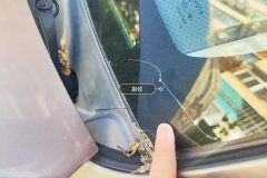 Windshield