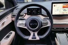 2024 BYD Seagull 2025 305km freeEdition #15