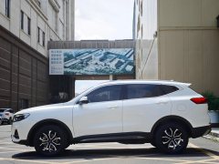 2022 Haval H6 2021 1.5T AT China tideUrbanEdition #4
