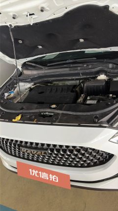 2020 Haval M6 2019 1.5T AT Super ValueFWD China VI #17
