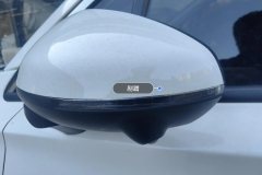 Left Exterior Mirror