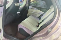 2022 BYD Dolphin 2021 405km Fashion #11