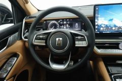 2024 Tank 500 PHEV 2024 Hi4-T 2.0T AT #15