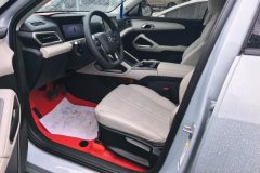2025 BYD Yuan UP 2025 301KM Pilot #9